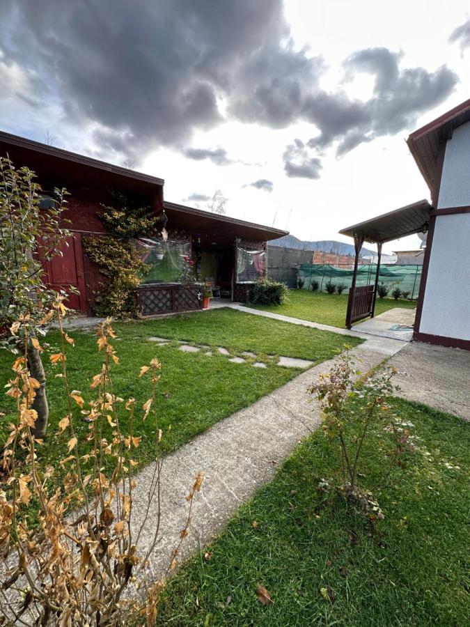 Casa Rares Szászbuda Kültér fotó
